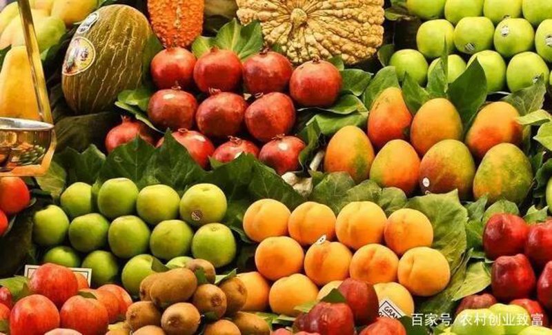 如何选择和保存新鲜蔬菜？一文揭秘